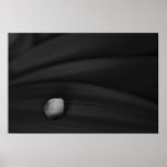 Daisy Droplet Black and White posters