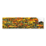 Daisy field and meaning bumper stickers