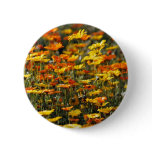 Daisy field and meaning buttons