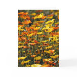 Daisy field and meaning cards