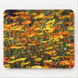Daisy field and meaning mousepads