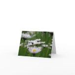 Daisy Field Card