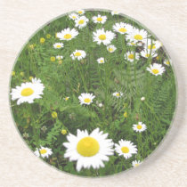 Daisy Field Coaster
