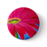 DAISY FLOWER ART - MULTI buttons