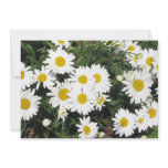 Daisy Flower Invitation