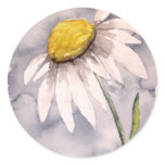 Daisy flower painting art gift stickers