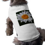 Daisy flower power pet clothing