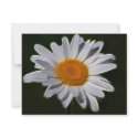 Daisy flower power invitations