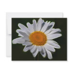 Daisy flower power invitations