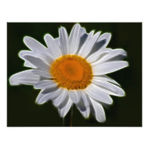 Daisy flower power invites