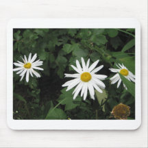 Daisy flowers mousepads