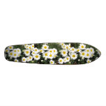 Daisy Flowers on a Skateboard