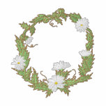 Daisy Frame embroidered shirts