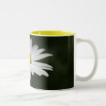 Daisy Gift Mug