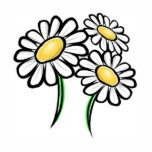 Daisy Girl t-shirts