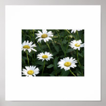 Daisy Green Posters