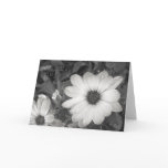 Daisy Happy Birthday Card
