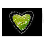 Daisy Heart Romance Valentine Love Card