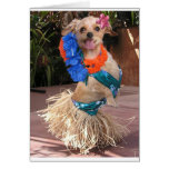 Daisy II - Hula Daisy Greeting Cards
