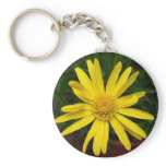 Daisy keychains