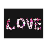 Daisy Love Pink and Black Postcards