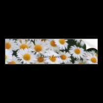 , Daisy Lovers bumper stickers