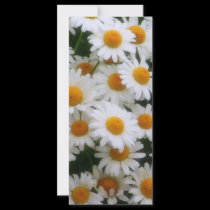 Daisy Lovers Rack Card rack cards
