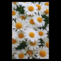 Daisy Lovers stationery