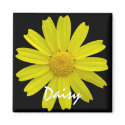 Daisy Magnet