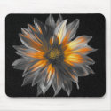 Daisy mousepads