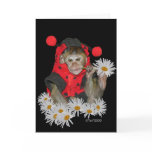 Daisy Muncher cards