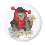 Daisy Muncher Fridge Magnet