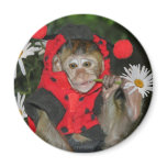 Daisy Muncher Fridge Magnets