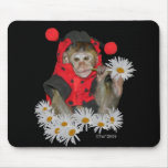 Daisy Muncher mousepads