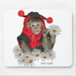 Daisy Muncher mousepads