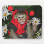 Daisy Muncher mousepads