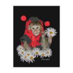 Daisy Muncher postcards