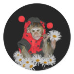 Daisy Muncher stickers