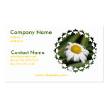 Daisy of Love Business Card