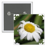 Daisy of Love Square Pin