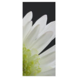 Daisy on Black Wedding Program rack cards