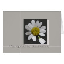 daisy on grey dutch sympathy card