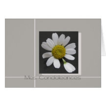 daisy on grey french sympathy card