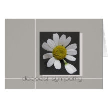 daisy on grey sypathy card