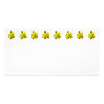 Daisy on the Lookout Photo Card Template