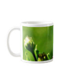 Daisy Out On My Balcony mugs
