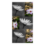 Daisy Photo Card photo cards