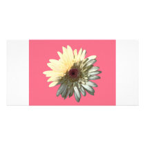 Daisy Photo Card