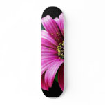 Daisy Pollen skateboards