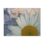 Daisy Postcard